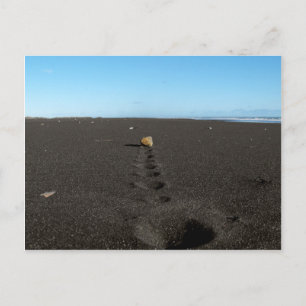 Carte Postale Rolling Stone at the Beach