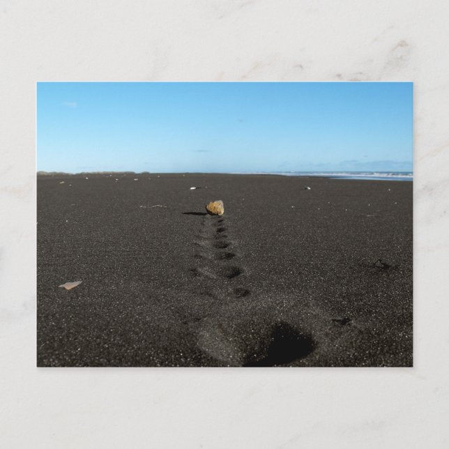 Carte Postale Rolling Stone at the Beach (Devant)