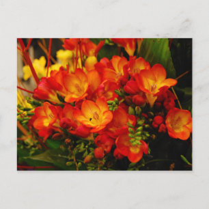 Carte Postale Romance russe