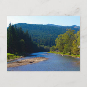 Carte Postale Romania, Moldova, rivière among the pine forest