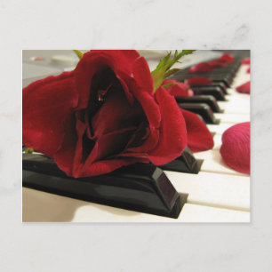 Carte Postale Romantique Rose rouge amour