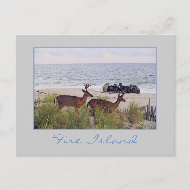 Carte postale 'Romantique Soirée de promenade le l (Devant)