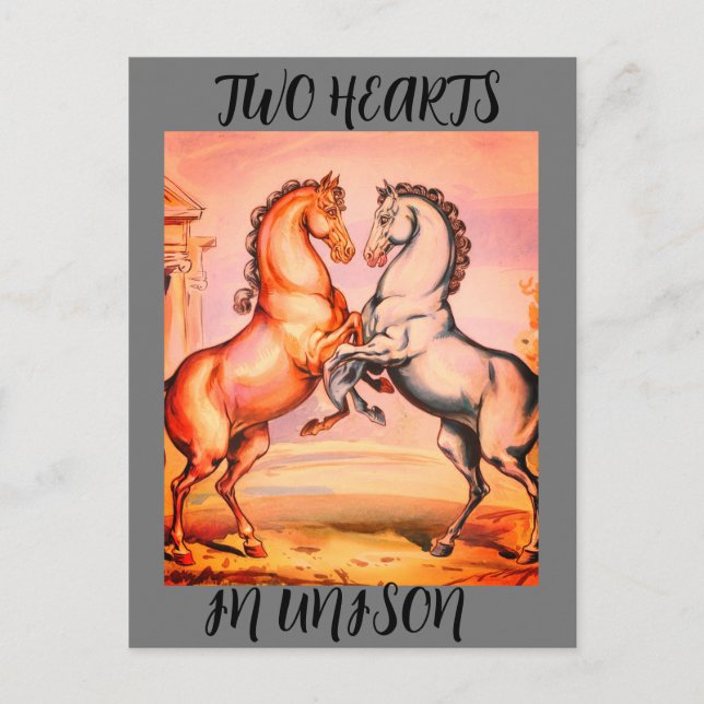 Carte postale romantique vintage cheval (Devant)