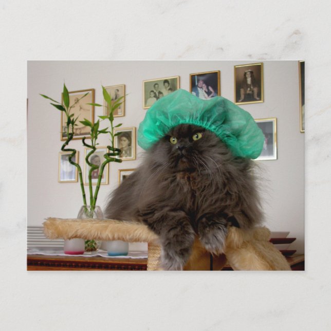 Carte Postale Roméo (Devant)