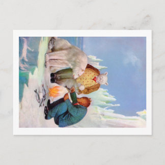 Carte Postale Roosevelt Bears Go Fishing In Alaska