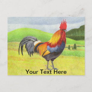Carte Postale Rooster