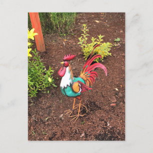 Carte Postale Rooster coloré dans le jardin