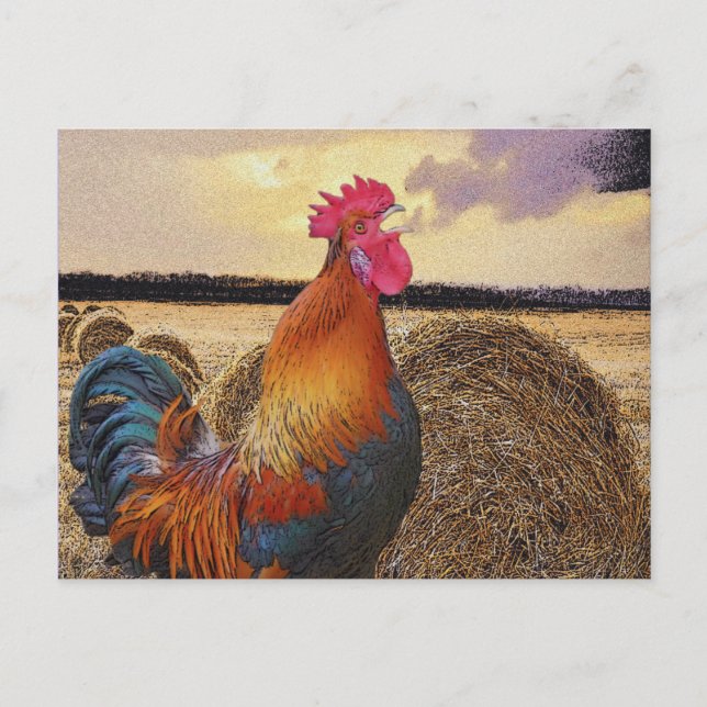 Carte Postale Rooster coloré et Hay Bale (Devant)