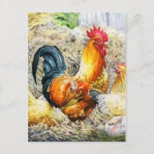 Carte Postale Rooster Fière