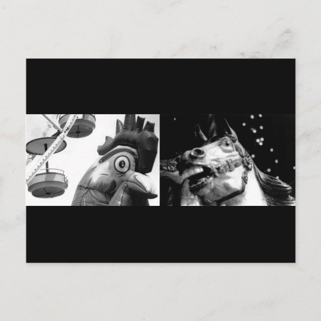 Carte Postale Rooster fou, rencontrer Crazy Horse (Devant)