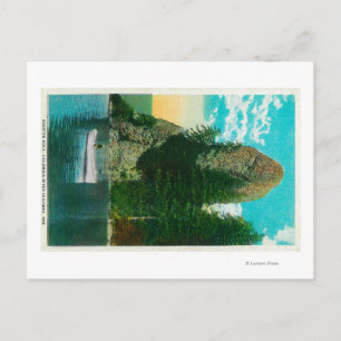 Carte Postale Rooster Rock sur Columbia River