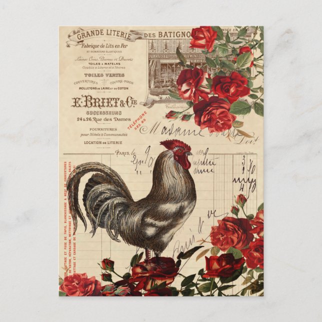 Carte Postale Rooster vintage (Devant)