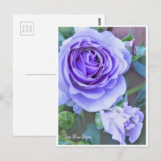 Carte Postale Rosa Blue Bajou (Devant / Derrière)