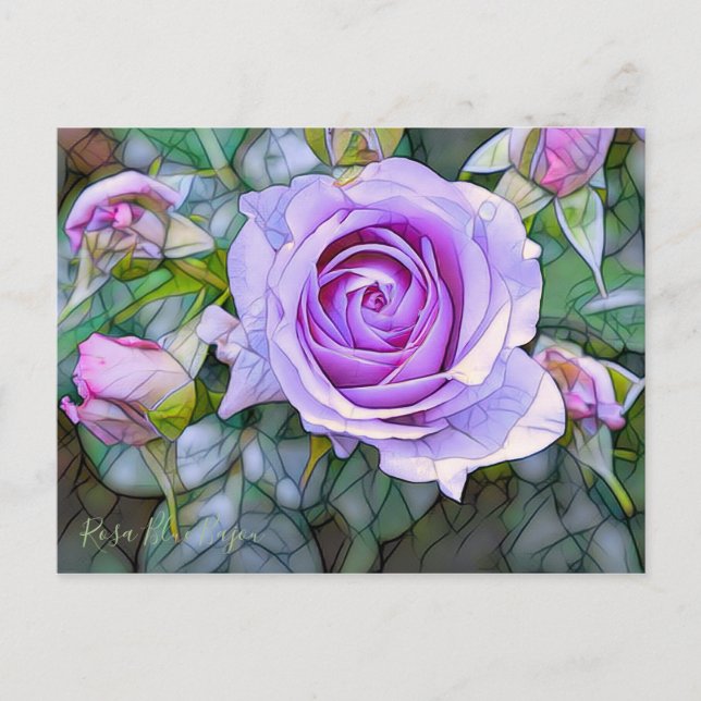 Carte Postale Rosa Blue Bajou [Carte postale] (Devant)