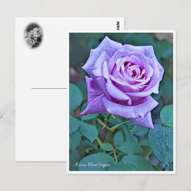Carte Postale Rosa Blue Vague (Devant / Derrière)