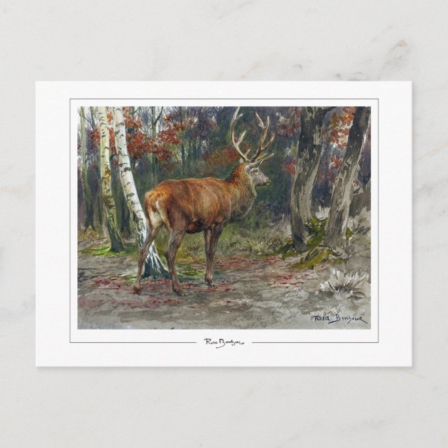Carte Postale Rosa Bonheur #135 - Beaux-arts (Devant)