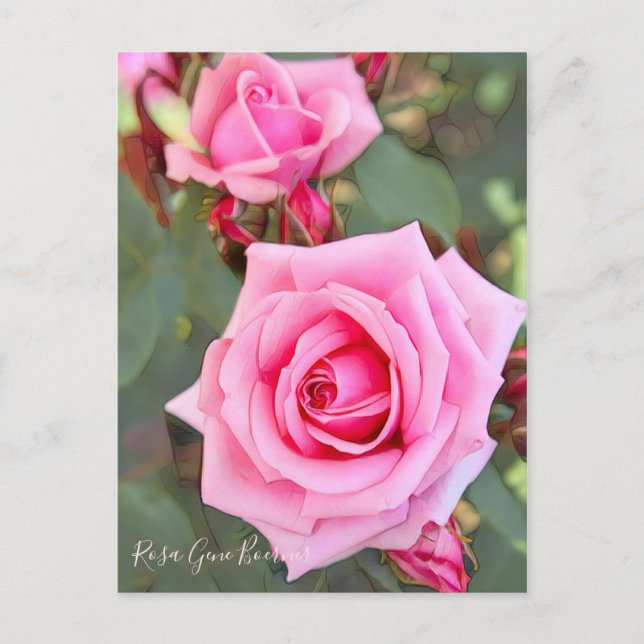 Carte Postale Rosa Gene Boerner [Carte postale] (Devant)