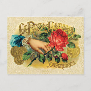 Carte Postale Rosa Habana Vintage Étiquette de cigare