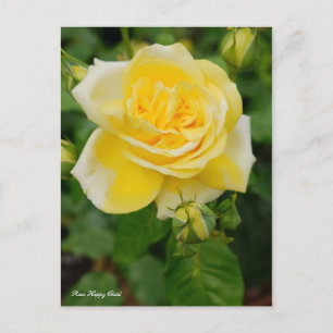 Carte Postale Rosa Happy Child [Carte postale]