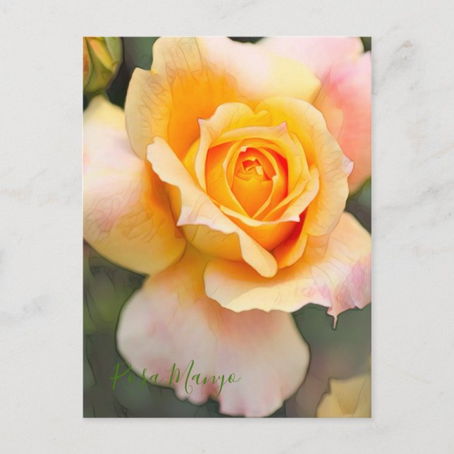 Carte Postale Rosa "Manyo" [Carte postale] (Devant)