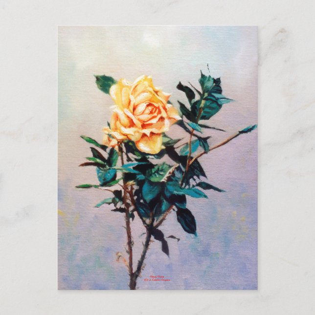 Carte Postale Rosa/Rose (Devant)