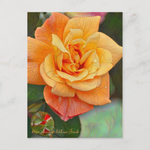 Carte Postale Rosa Souvenir de Anne Frank [Carte postale]