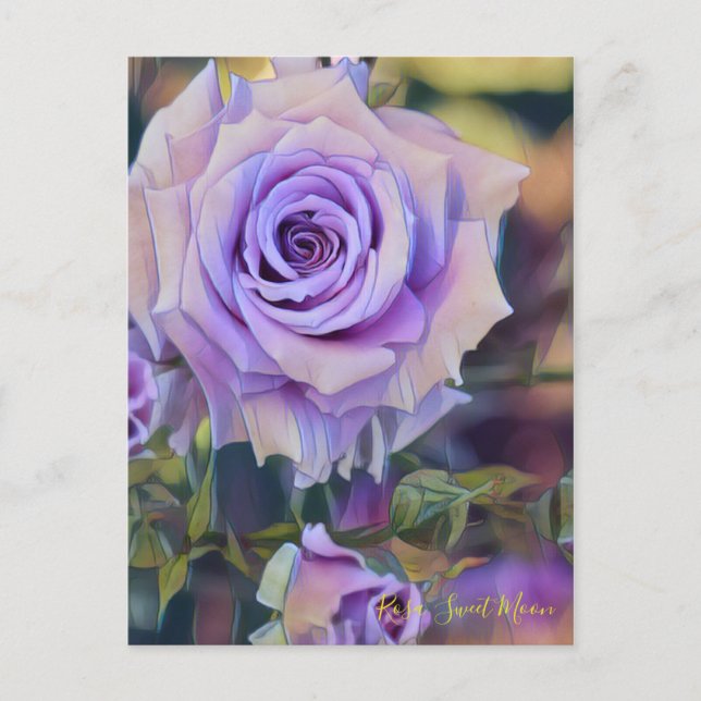 Carte Postale Rosa Sweet Moon [Carte postale] (Devant)