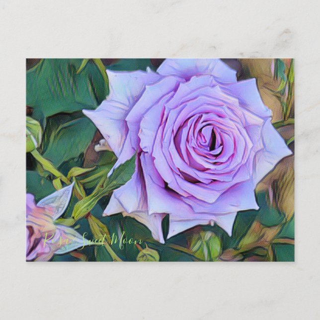 Carte Postale Rosa Sweet Moon [Carte postale] (Devant)