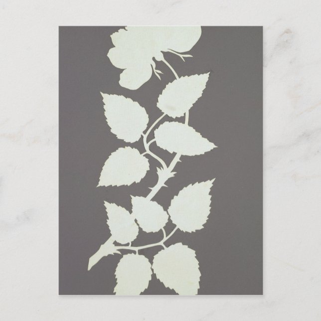 Carte Postale Rose (Devant)