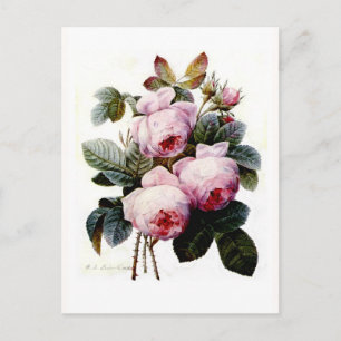 Carte Postale Rose