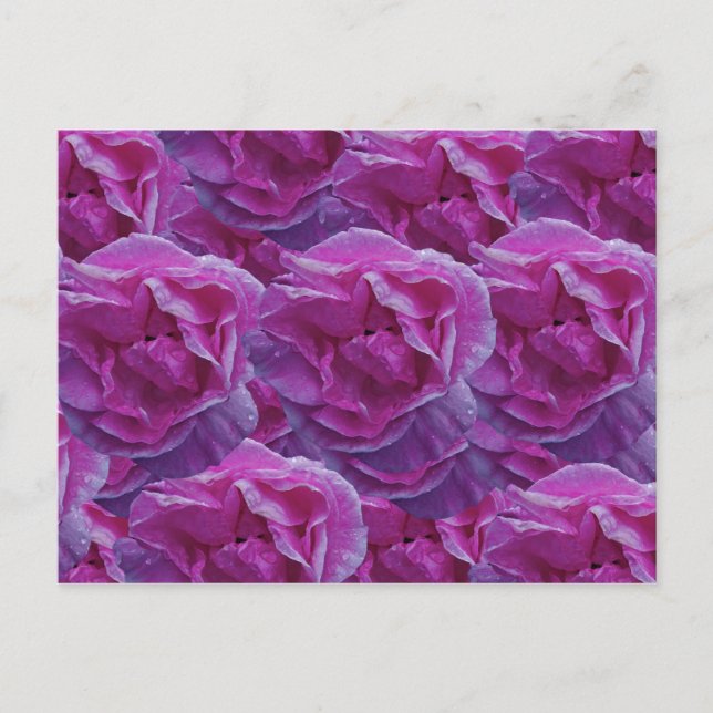 Carte postale rose (Devant)