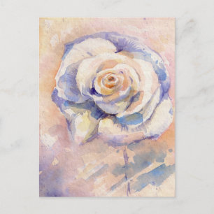 Carte Postale Rose