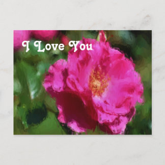 Carte postale Rose