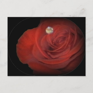 Carte Postale Rose