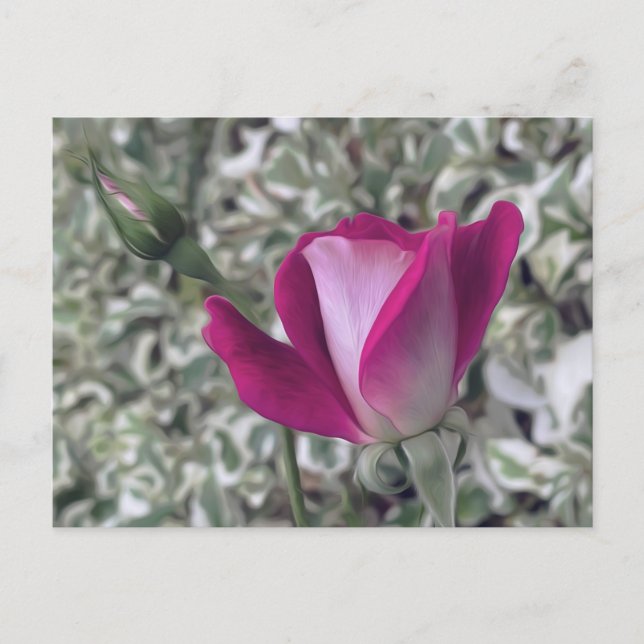 Carte Postale Rose (Devant)