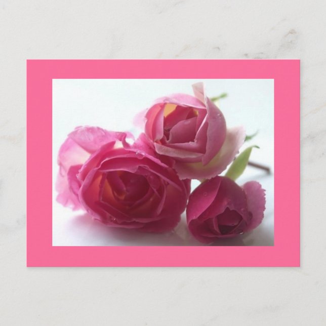 Carte Postale rose (Devant)