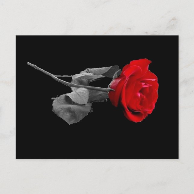Carte Postale Rose (Devant)