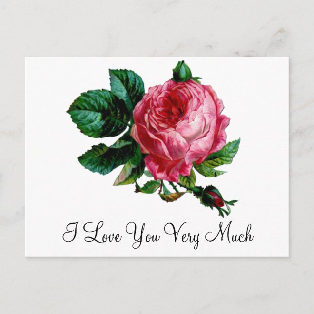 Carte postale Rose (Devant)