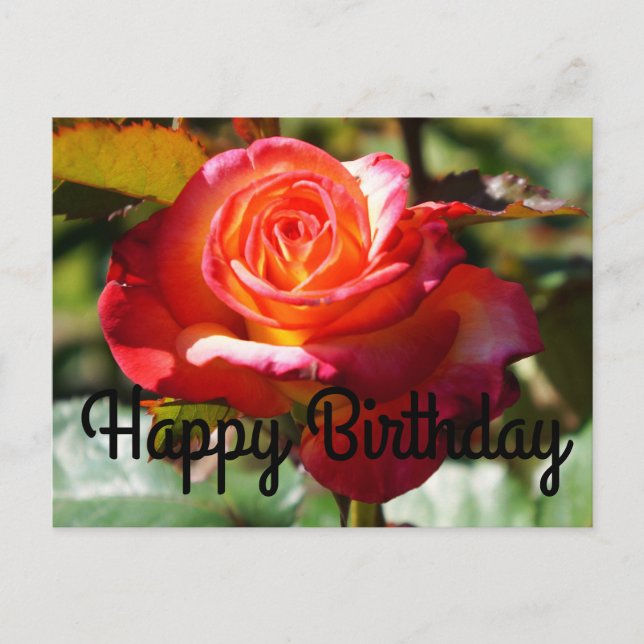 Carte postale Rose #2 Rêve De Anniversaire Réalisé (Devant)