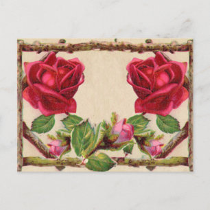 Carte Postale Rose ancienne vintage rustique victorienne antique