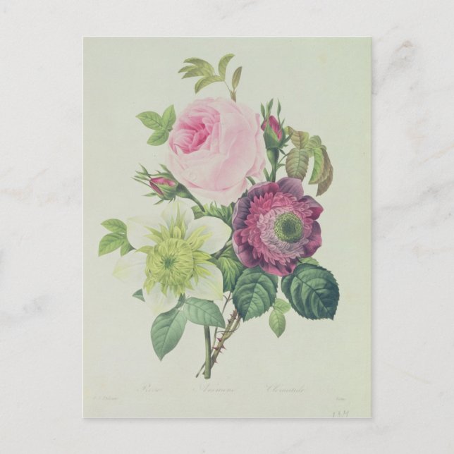 Carte Postale Rose, anémone et clématide (Devant)