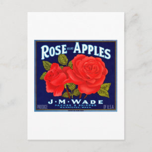 Carte Postale Rose Apples Wenatchee Washington
