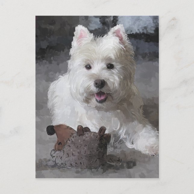 Carte Postale Rose Avec Un Nouveau Jouet (Devant)