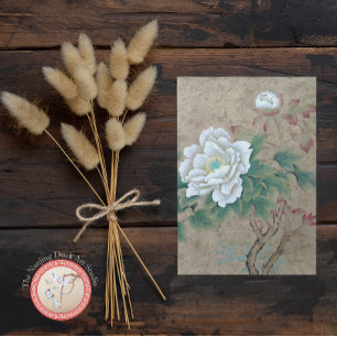 Carte Postale Rose blanche