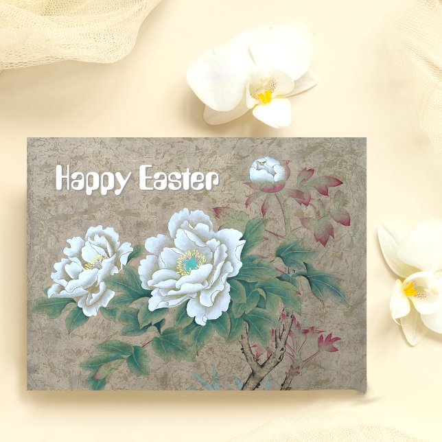 Carte Postale Rose blanche (Créateur téléchargé)