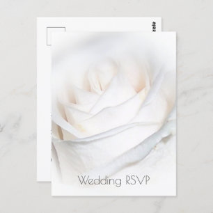 Carte Postale Rose blanche Mariage personnalisé RSVP