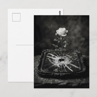 Carte Postale Rose blanche poussant d'un miroir fissuré
