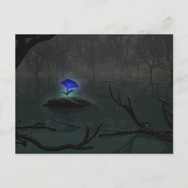 Carte postale Rose bleu (Devant)