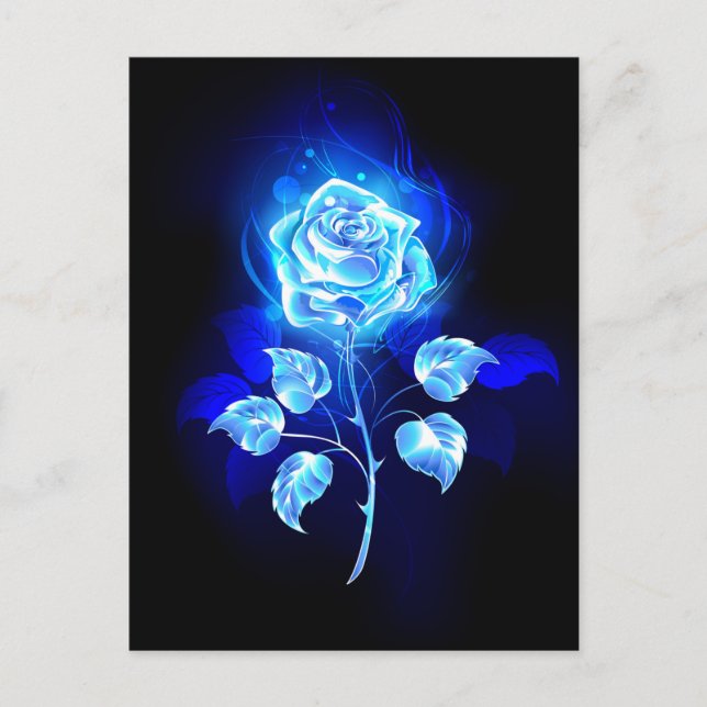 Carte Postale Rose bleue en feu (Devant)
