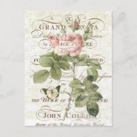 Carte postale rose botanique française vintage